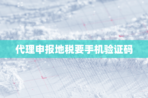 代理申报地税要手机验证码