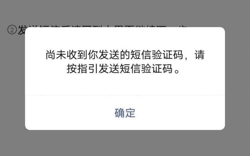 畅游 手机无法收到验证码