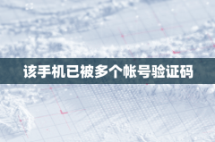 该手机已被多个帐号验证码登录